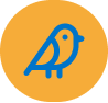 lucide_bird